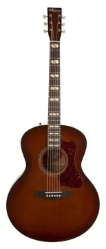 Norman ST30 MJ Havana Burst Element with Bag