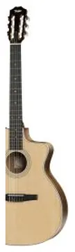 Taylor 214CE-N con borsa