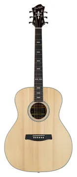 Hagstrom Orsa grand auditorium nat