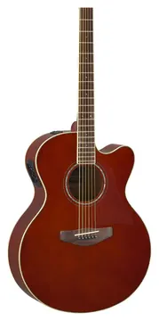 Yamaha Cpx600 Root Beet