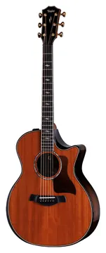 Taylor Builder's Edition 814ce 50th Anniversary Ltd