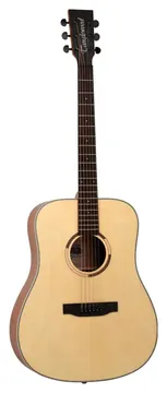 Tanglewood TS5 Strada
