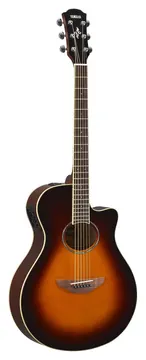 Yamaha APX600OVS