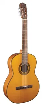 Takamine Klassieke gitaar (massief spruce)