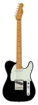 Fender Am Pro Tele MN BK