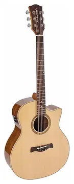 Richwood SWG-130-CE-NT