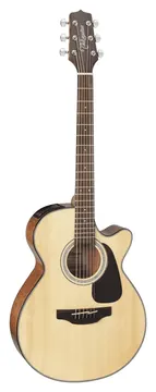 Takamine GF30CE NAT Westerngitaar met Element