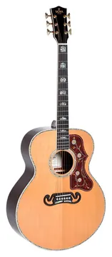 Sigma GJR-SG300