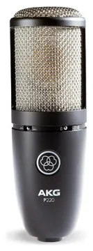 AKG P220