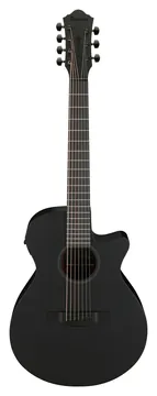 Ibanez AEG721-BOT Black Out