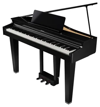 Roland GP-3PE Zwart Hoogglans