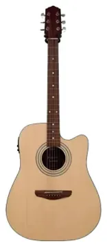 Giannini FK2 Goal CEQ NS Folk Cutaway