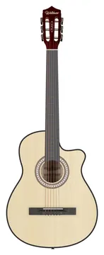 Waldman FLCE39S NT Aço