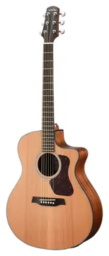 Walden Electroacustica C/cut. Cordas Aço G570CE