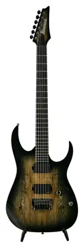 Ibanez Iron Label RGIX20FESM-FSK Electric Guitar, Foggy Stained Black, 15051XXXX