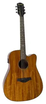 Waldman DCEX-741 NAT