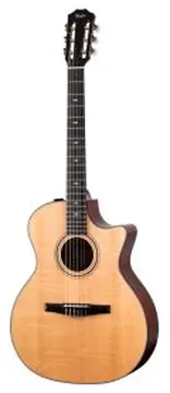 Taylor 314CE-N con custodia