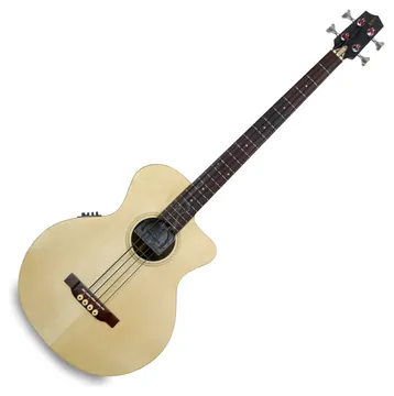 APC BG100 CW c/ Pick-Up