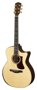 Eastman AC722CE - Auditorium