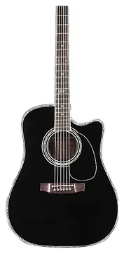 Takamine - SW341SC Steve Wariner SIGNATURE DREADNOUGHT CUTAWAY ELETTRIFICATA