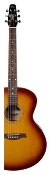 Seagull Entourage Mini Jumbo Rustic Burst