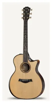 Taylor K14Ce Builder'S Edition