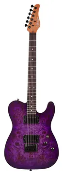 Schecter PT Standard Purple Burst Burl E-Gitarre