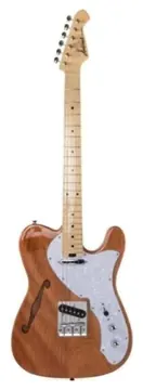 Aria Pro II TEG-TL Natural