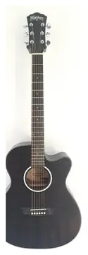 Washburn Ebony Ace