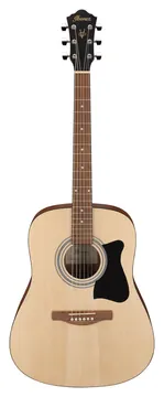 Ibanez V50NJP-OPN Naturel