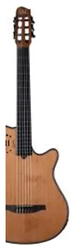 Godin Multiac Mundial Grand Concert Mah Deluxe HG con borsa