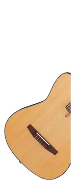 Ibanez FRH10N NTF - natural flat