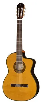 Takamine EC132SC w/Softcase