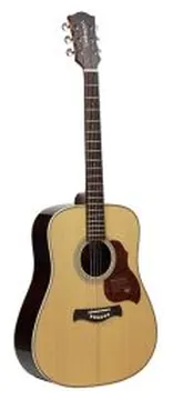 Richwood All Solid Master Series, Custom Shop, Dreadnought Acoustic Guitar, D-265-VA