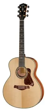 Taylor Gold Label 914e