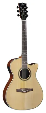 Eko Guitars NXT A100CE