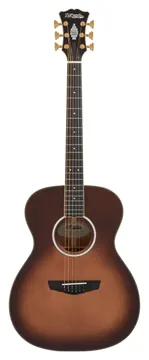 D'Angelico Excel Tammany Autumn Burst Chitarra Acustica Elettrificata