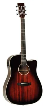 Tanglewood TW5AVB