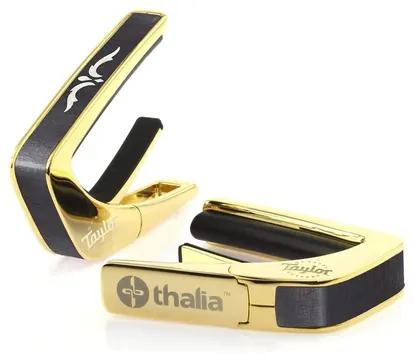 Taylor Capo 900 serie Ascension Gold by Thalia