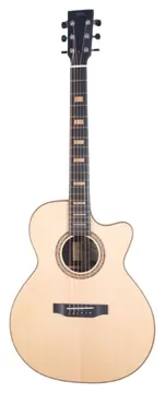 BSG Guitars GA 27 CF