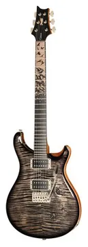 PRS Birds Of A Feather Custom 24 C
