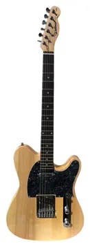 Waldman GTE200 NAT Telecaster NAT GTE200