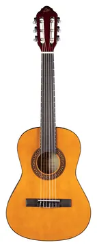 Eko Cs-2 1/2 Natural + Gigbag