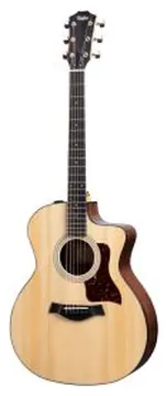 Taylor 214CE PLUS con custodia