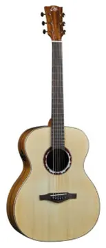 Eko Guitars Alps J450E