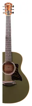 Taylor GS Mini-e Ltd Olive