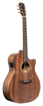 J.N GUITARS DOV-ACFI Elektro-akoestische gitaar, auditorium, met cutaway en massief mahonie bovenblad, Dovern serie