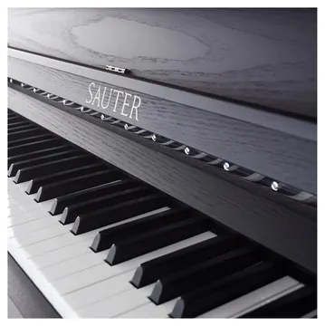 Sauter Klavier Concent by Peter Mali