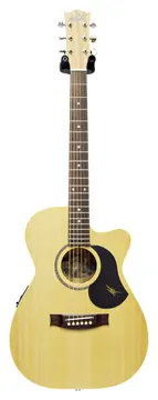 Maton Performer