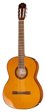 Takamine GC1-NAT